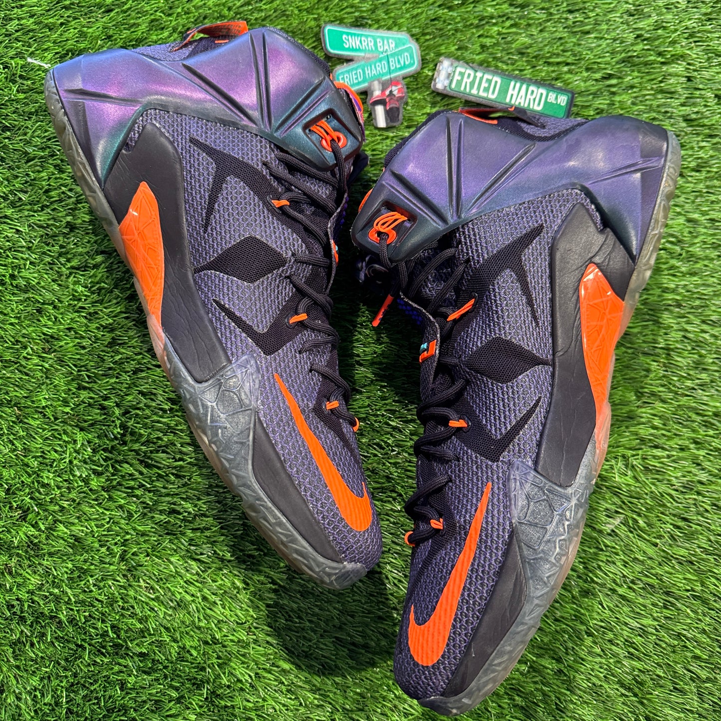 LeBron 12 'Instinct'