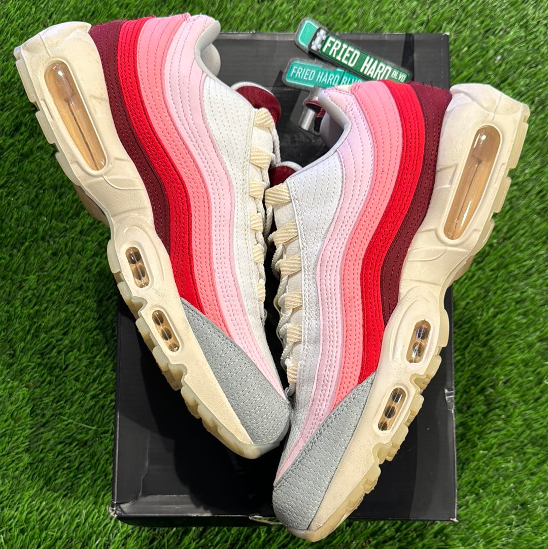 Air Max 95 'Anatomy Of Air'