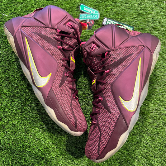 LeBron 12 'Double Helix'