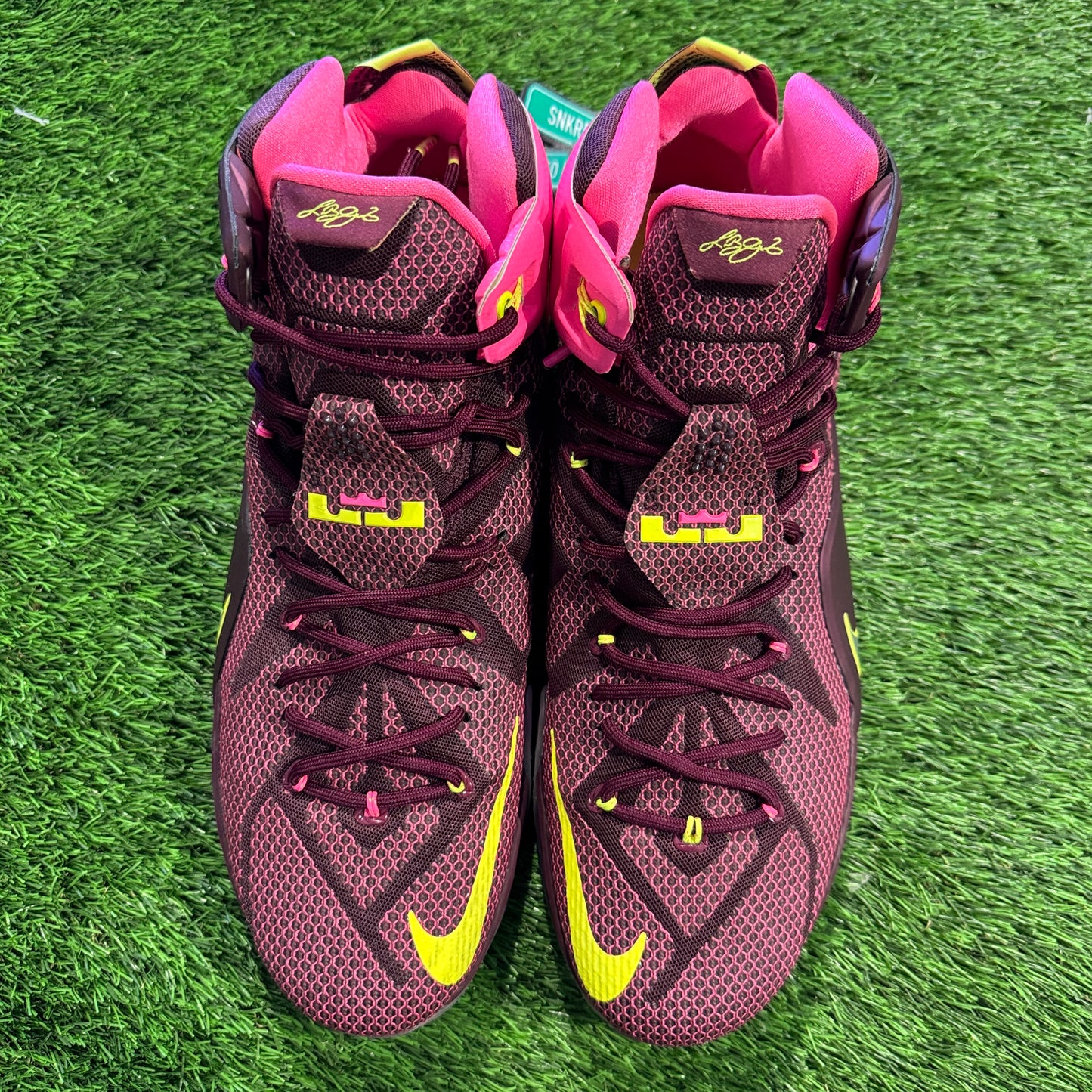 LeBron 12 'Double Helix'