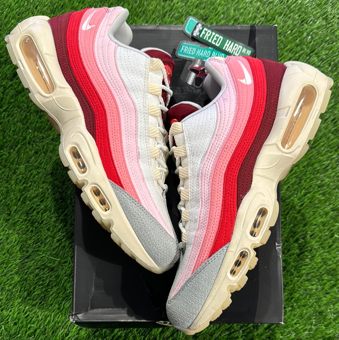 Air Max 95 'Anatomy Of Air'