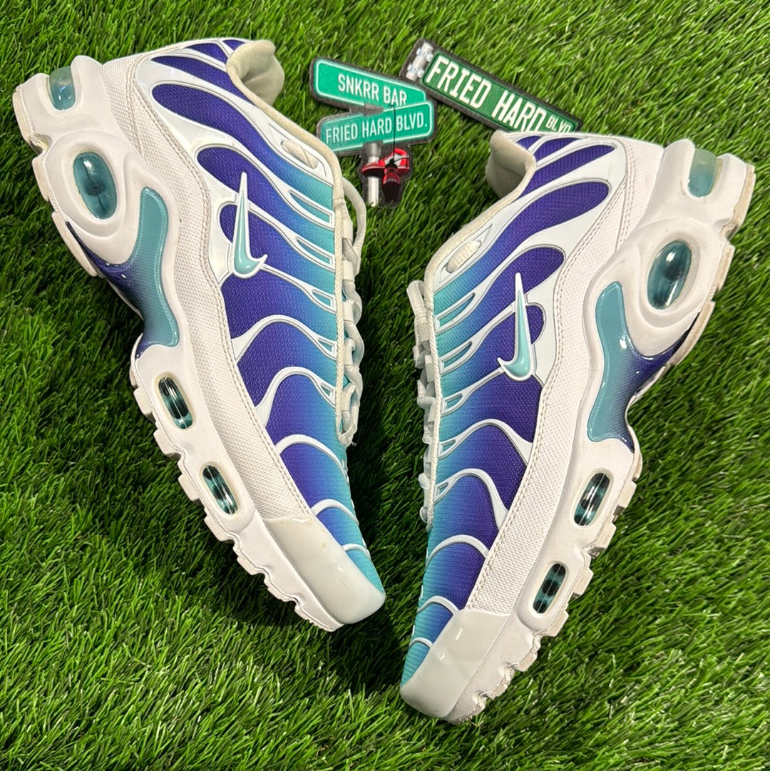 Wmns Air Max Plus TN SE 'Bleached Aqua'