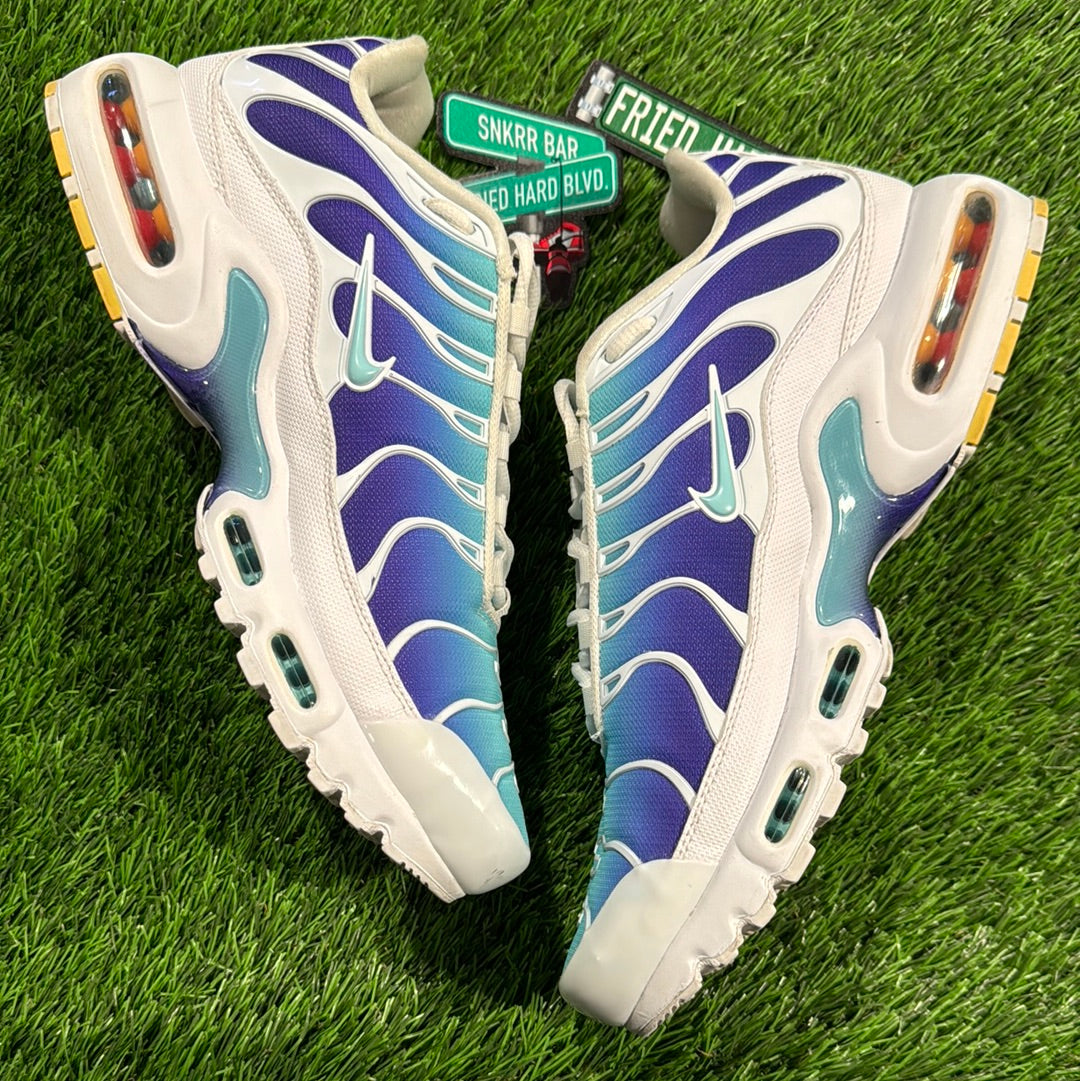 Wmns Air Max Plus TN SE 'Bleached Aqua'