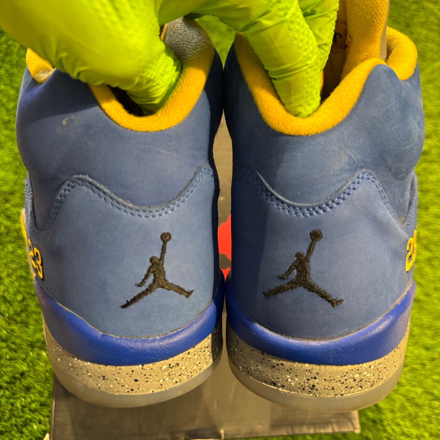 Air Jordan 5 Retro 'Laney'