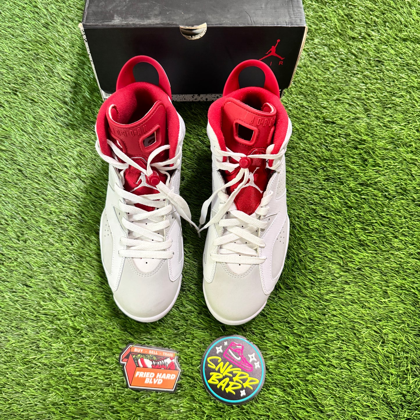Jordan 6 Retro Alternate Hare