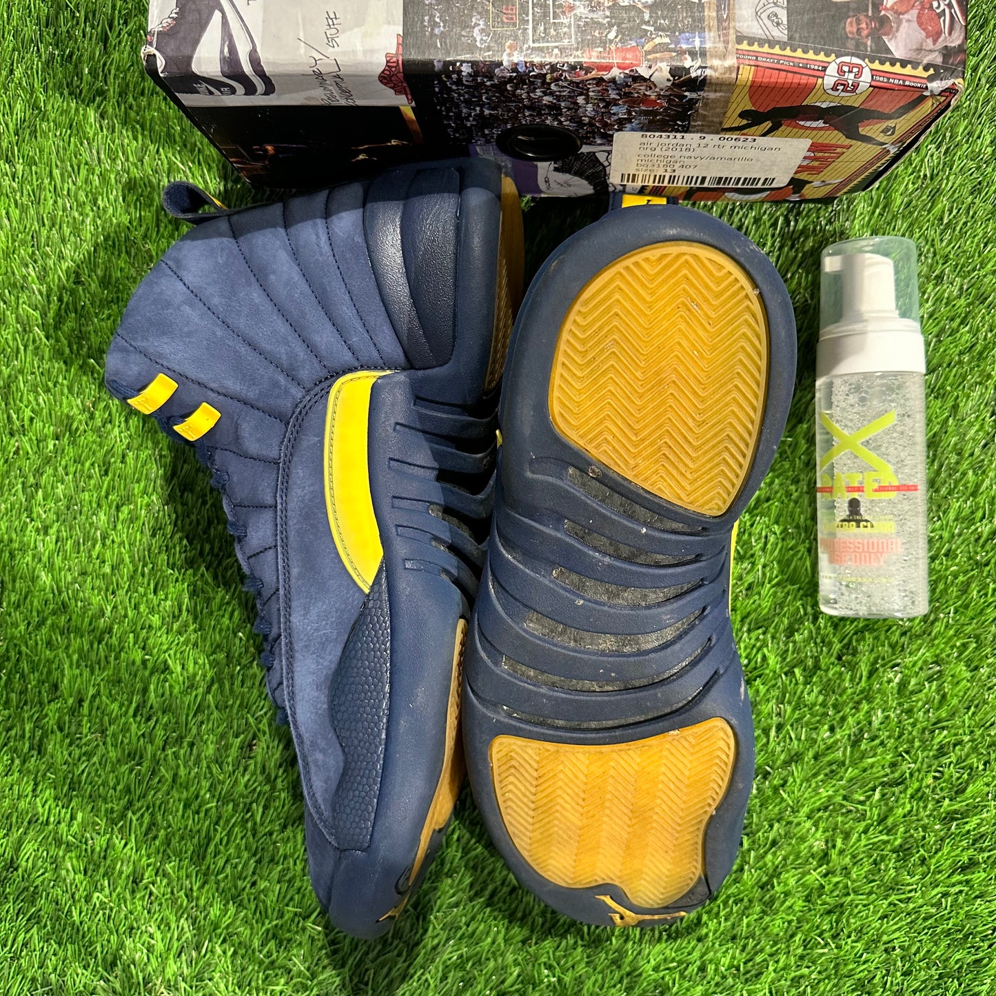 Jordan 12 Retro Michigan