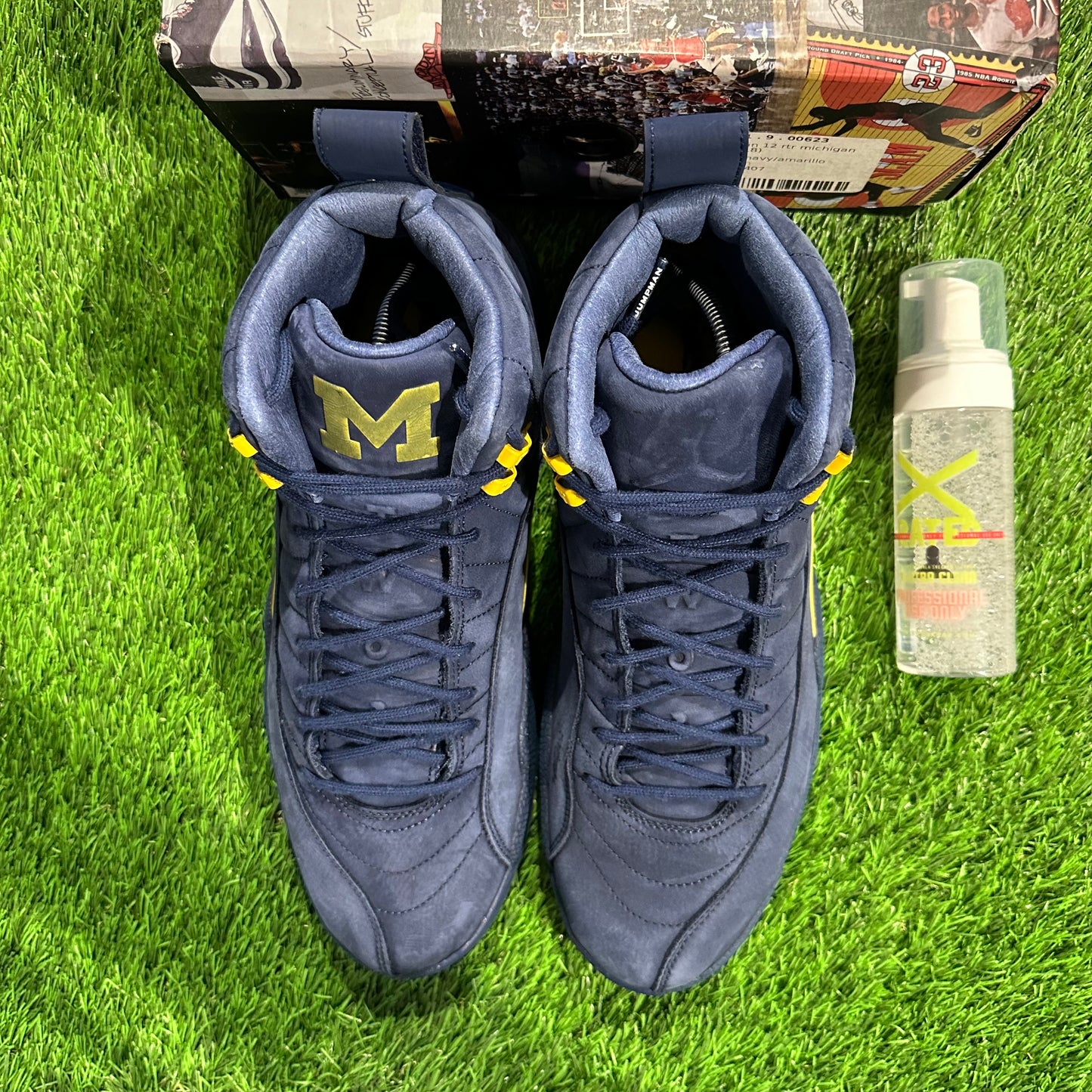 Jordan 12 Retro Michigan