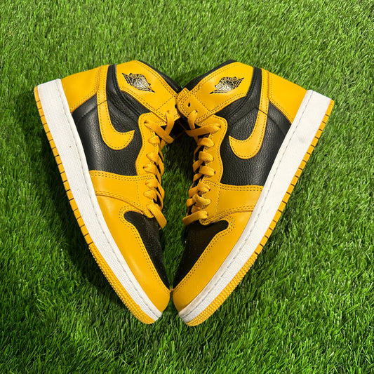 Jordan 1 Retro High OG Pollen (GS)