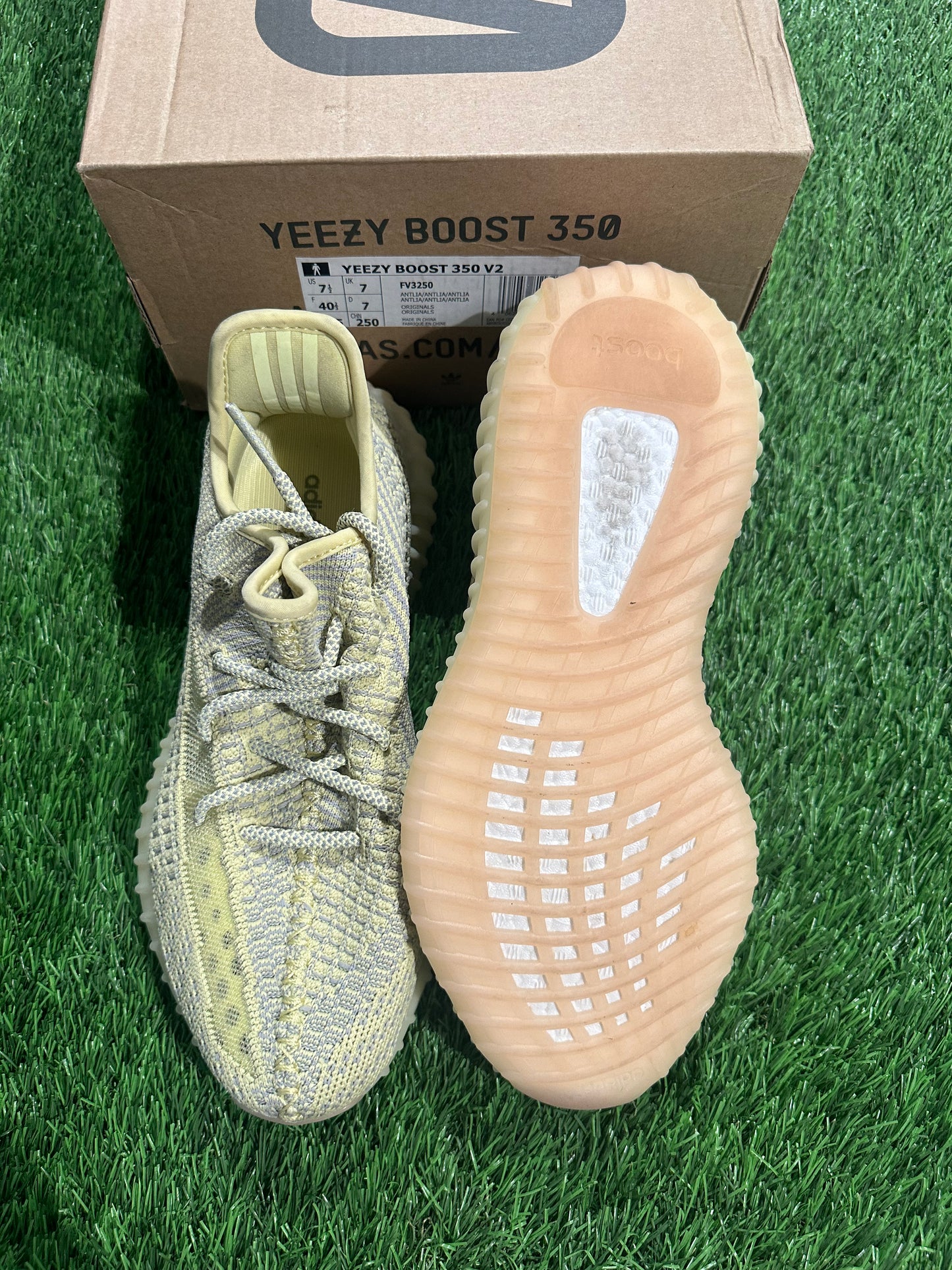 Adidas Yeezy Boost 350 V2 Antlia (Non-Reflective)