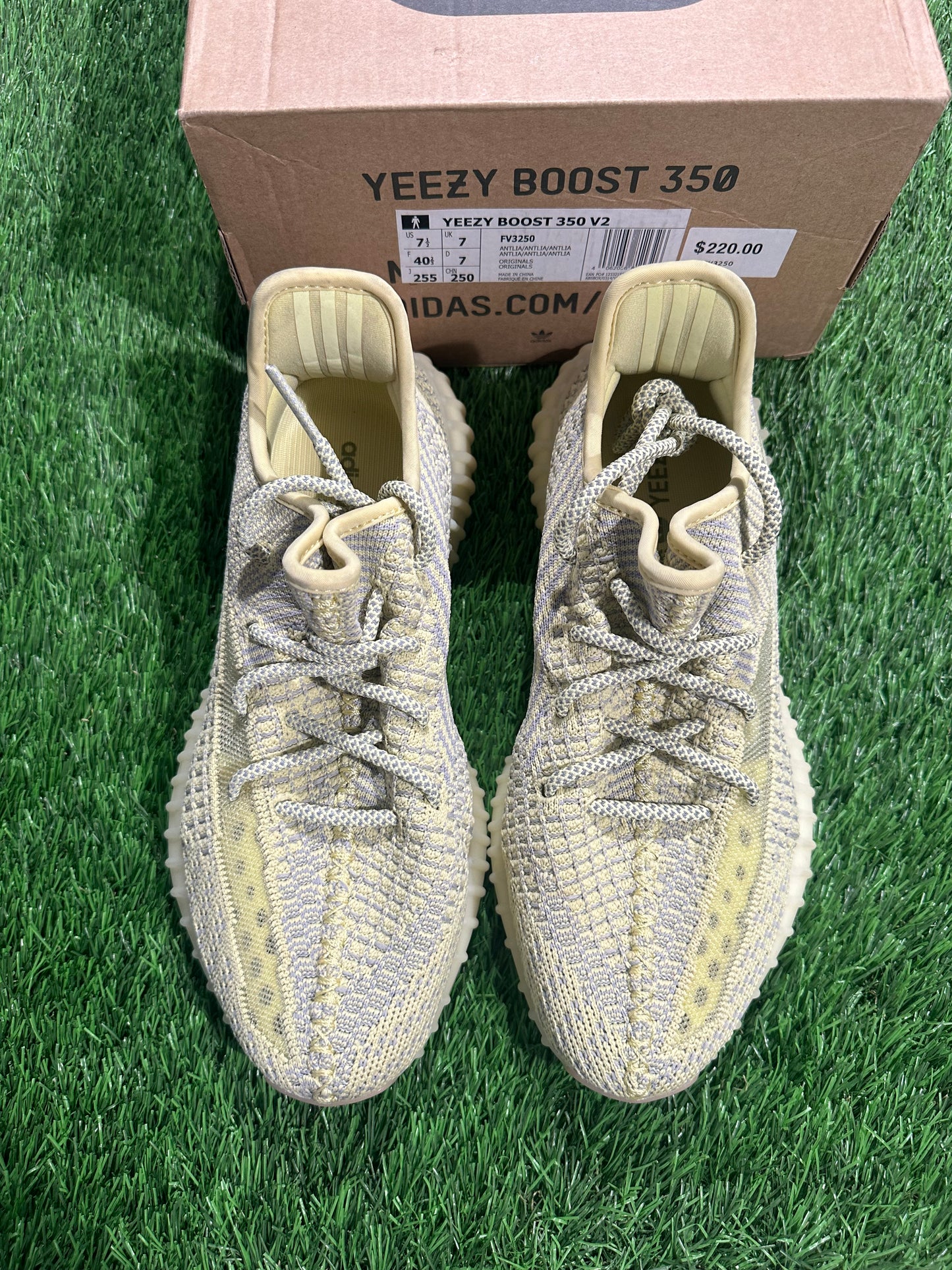 Adidas Yeezy Boost 350 V2 Antlia (Non-Reflective)