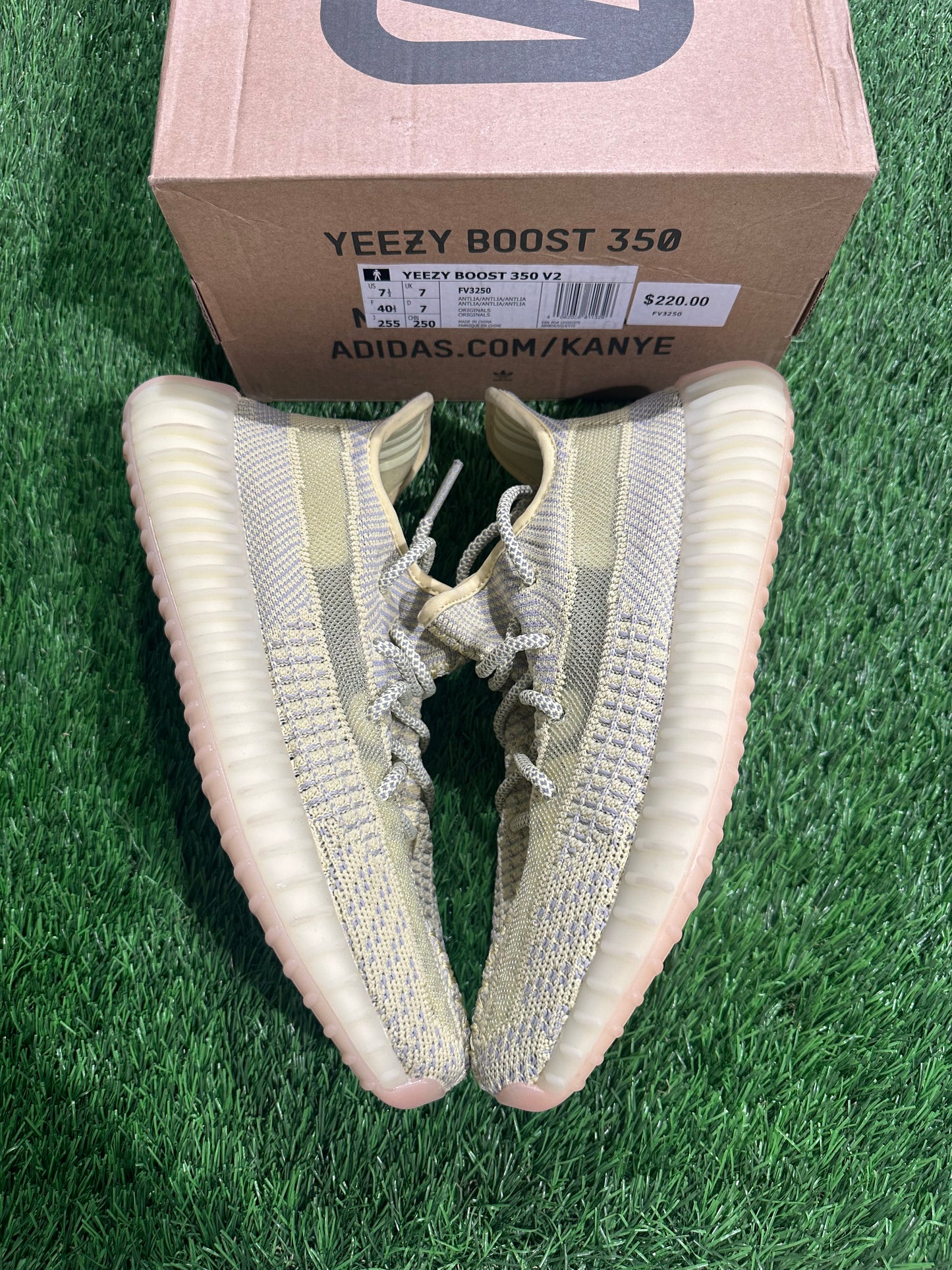 Adidas Yeezy Boost 350 V2 Antlia (Non-Reflective)