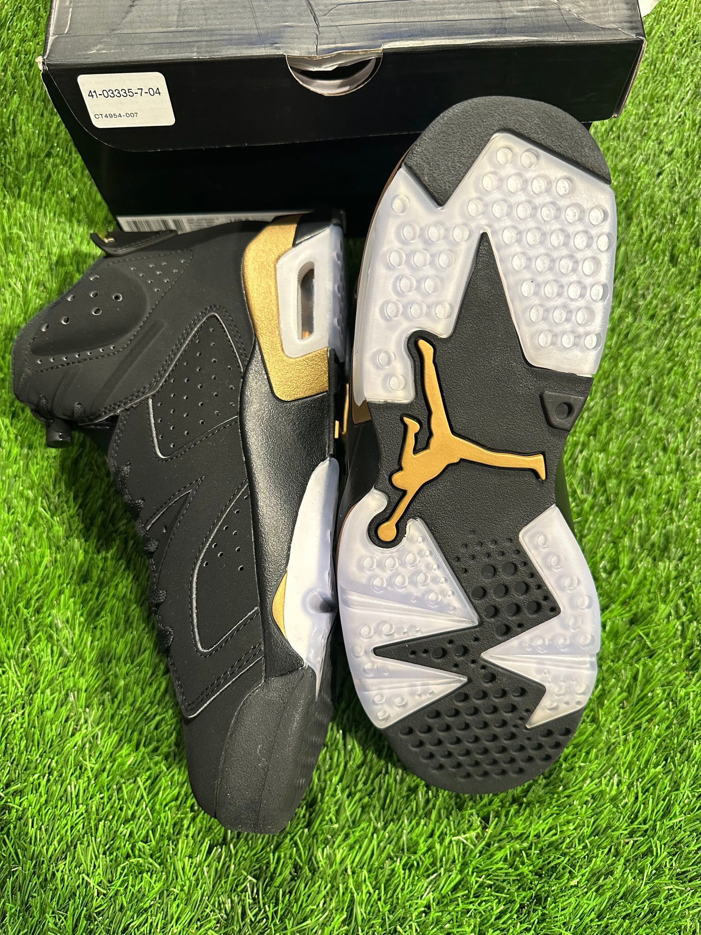 Jordan 6 Retro DMP (2020)