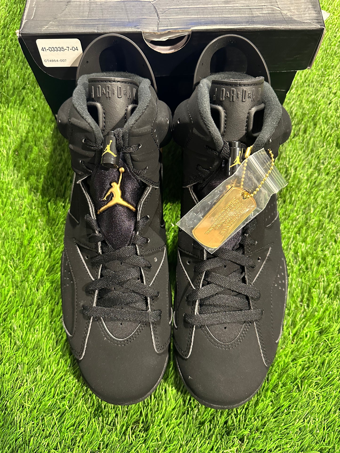 Jordan 6 Retro DMP (2020)